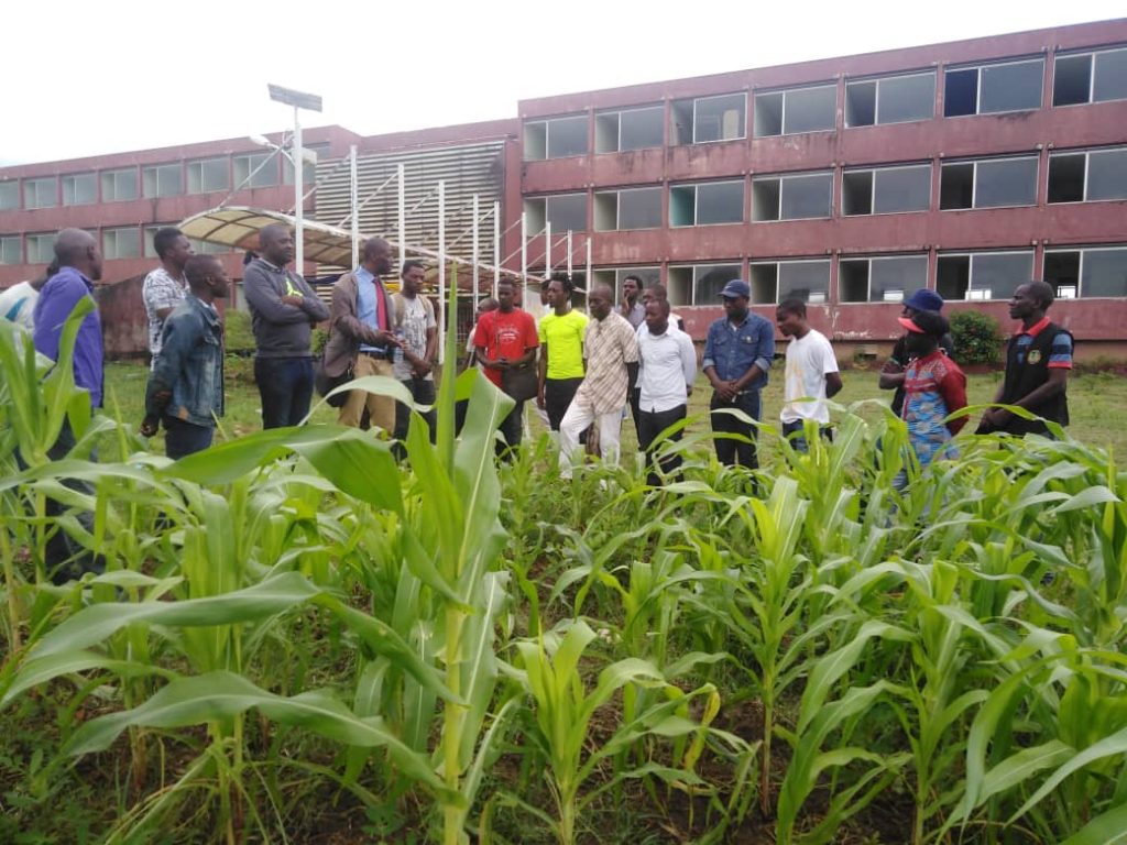 UOB et environnement
