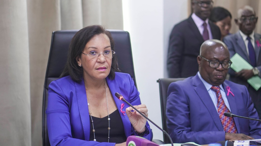programme de formation professionnelle au Gabon