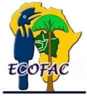 ECOFAC 6: Un instrument d'aide à la préservation de la biodiversité en Afrique