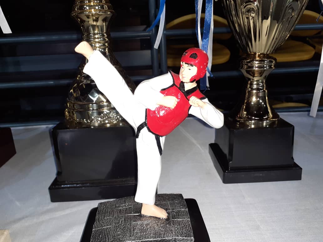 première édition de la Coupe DGDI